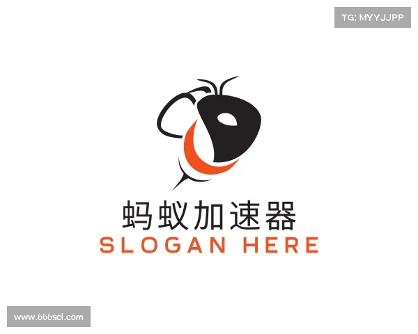 认识蚂蚁加速器